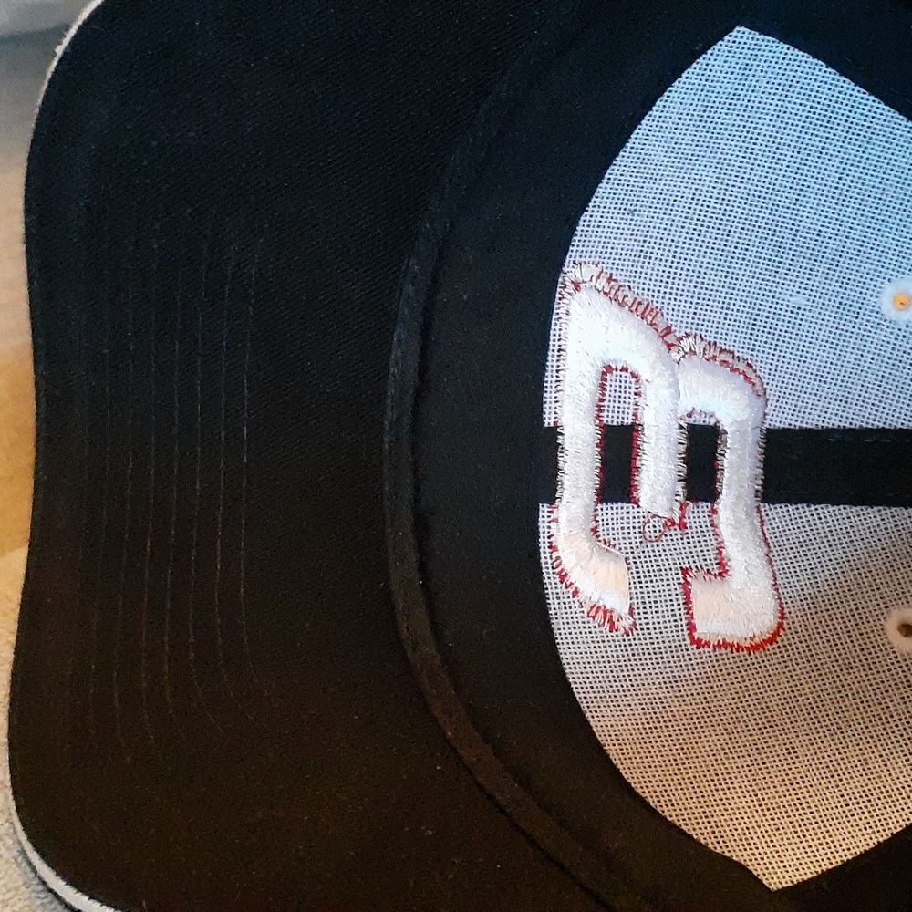 Vintage Earnhardt #3 Hat - Picture 2 of 4